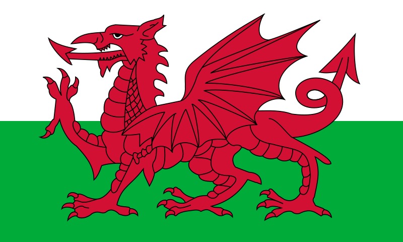 PROTESTDRAGE: Den røde dragen ble offisielt Wales' flagg i 1959, men det er hevdet at dragen ble assosiert med Wales allerede på 800-tallet! Bilde: Falt i det fri | Public domain